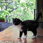 Ford Leannon Profile Picture