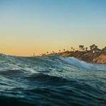 Samanta Spinka Profile Picture