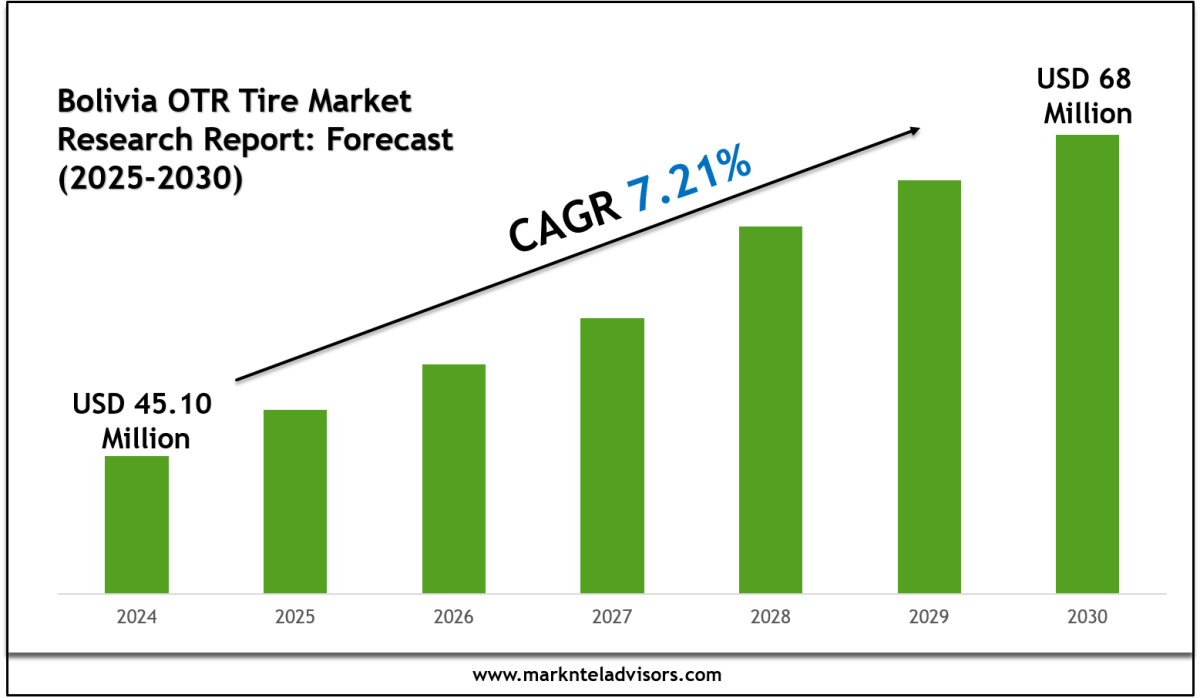 Bolivia OTR Tire Market Segments, Analysis & Statistics 2030 – Market Trends Analysis