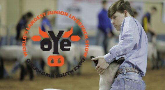 Horse & Livestock Trailers for Sale Oklahoma City | CSTK